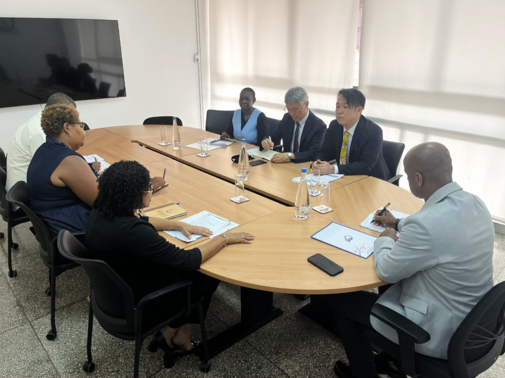 Ministro do Ambiente e Presidente da ANAS recebem delegação da JICA